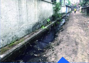 蓮塘村潤(rùn)龍南昌社道硬底化工程施工