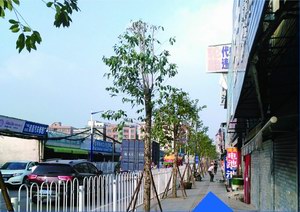 石夏路升級改造工程施工總承包